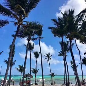 Meet your Posher, Xiaona